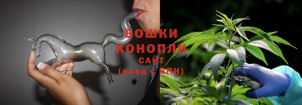 крисы Белокуриха