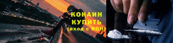 крисы Белокуриха