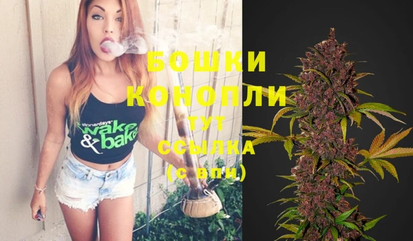 крисы Белокуриха