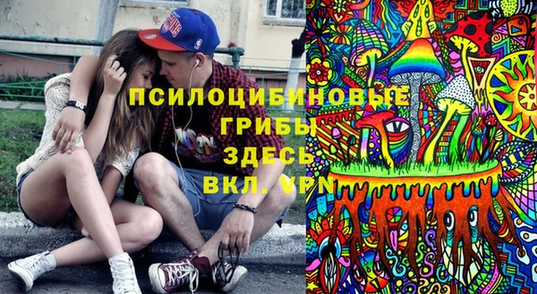 крисы Белокуриха