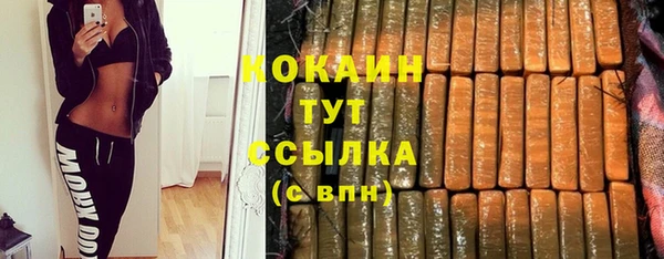 крисы Белокуриха