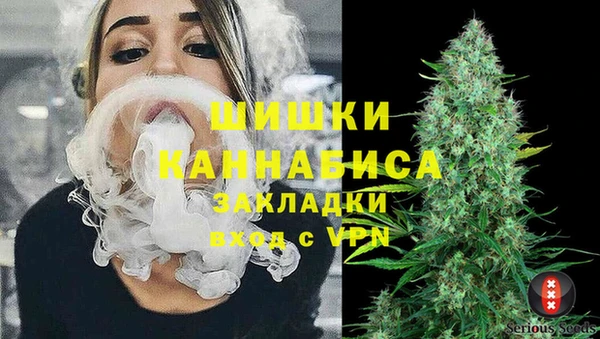 крисы Белокуриха