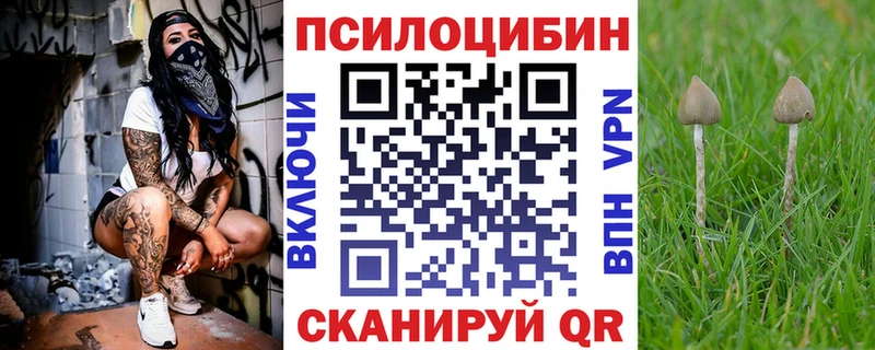 Галлюциногенные грибы Magic Shrooms Набережные Челны